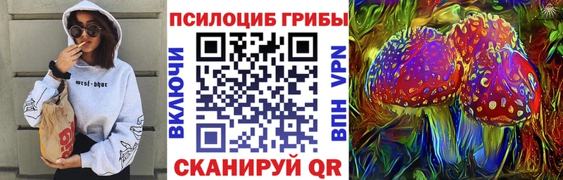 Галлюциногенные грибы Magic Shrooms  Жердевка 